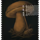 1406