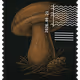1066
