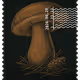 1492