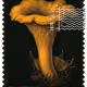 1344