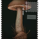 1079
