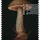 789
