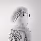 64