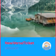 NewVerseTicket