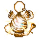 51500005