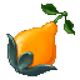 30400222