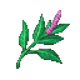 20440059