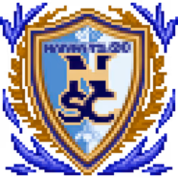 MCH Extension: #51140018 Lv.100
