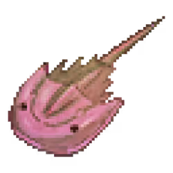 MCH Extension: #31320174 Lv.1