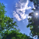 66551.lens-Collect-1257
