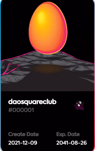 daosquareclub