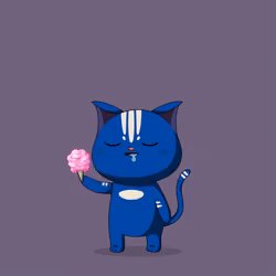 Purrr Pal #5214