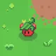 Bud #2146