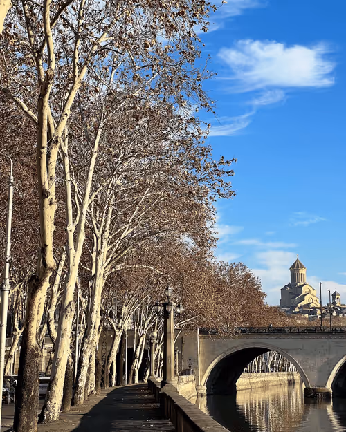 Item #4906168992204509942 Media