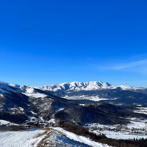 Item #5516450427793152580 Media