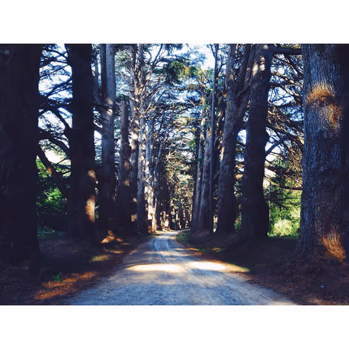 Item #2656696655527871802 Media