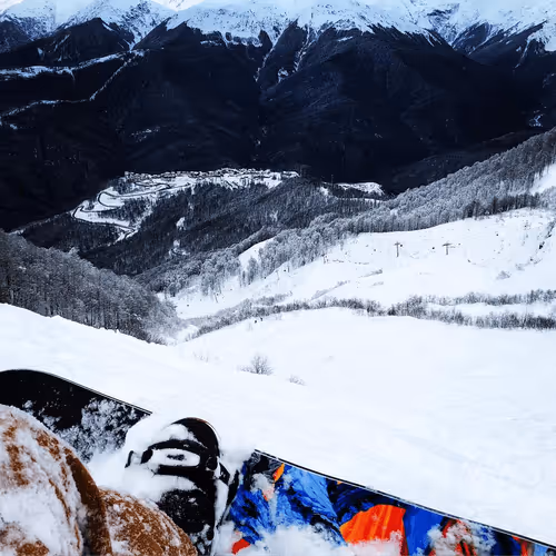 Item #239134694932320628 Media