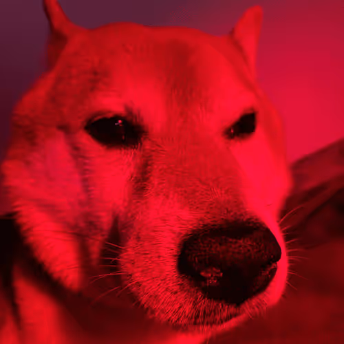 Item #3770703324522140160 Media