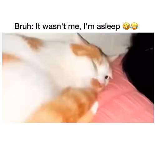 Bruh it's not me, I'm asleep 😂