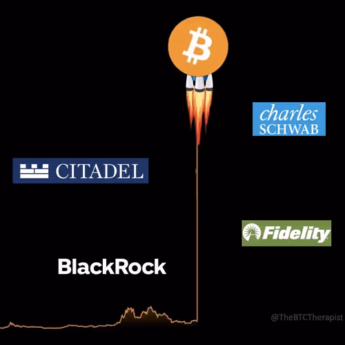 kingjunaid12.lens-Collect-2461