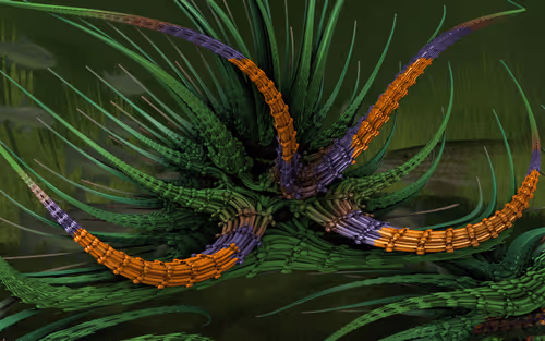 Fractal Art Rk