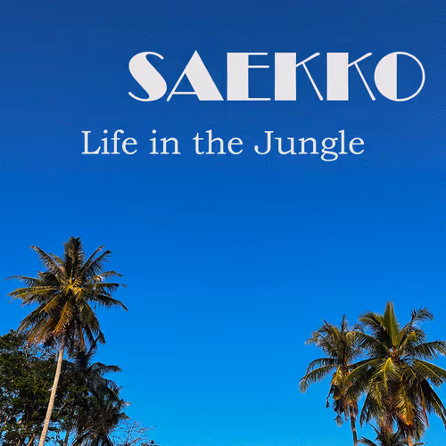 SAEKKO669 | New Way