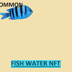 FISH WATER100