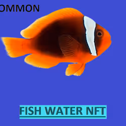 FISH WATER101