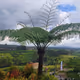 nature4