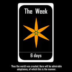 Week
