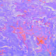 zospours.lens-Collect-3183