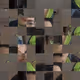 2453