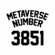 3851