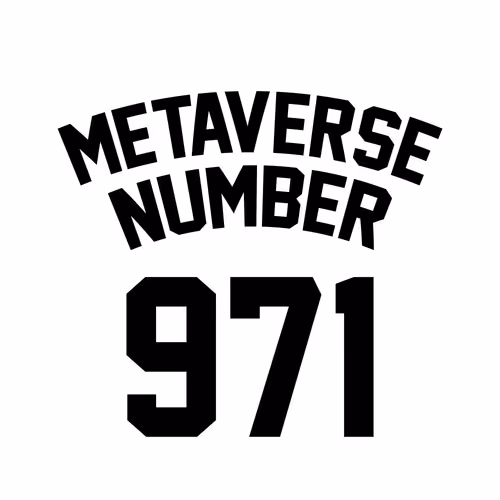Item #971 Media