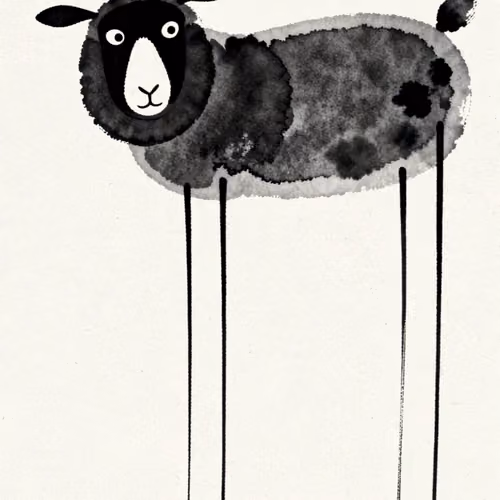 sheep(57)