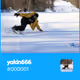 yakin666