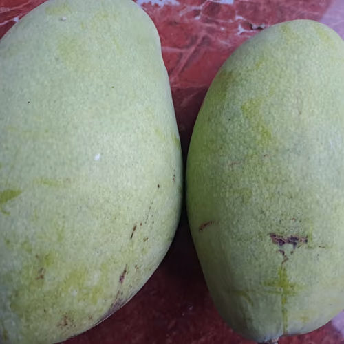 Fresh Mango #1