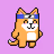 Puppy 1355
