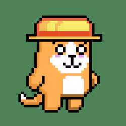 Puppy 1237