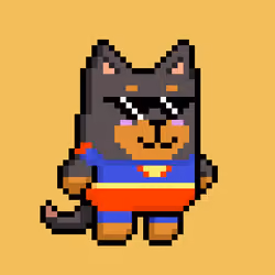 Puppy 1612