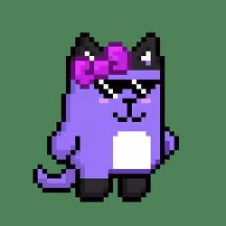 Puppy 217