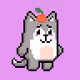 Puppy 247