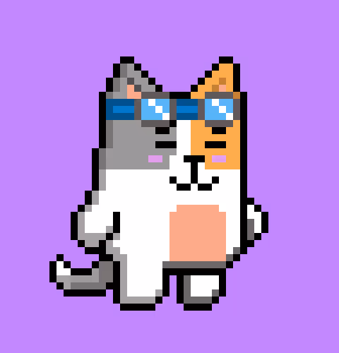 Puppy 1123