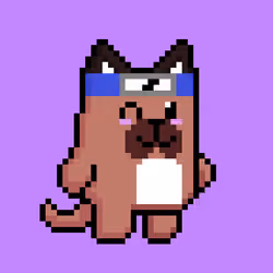 Puppy 374