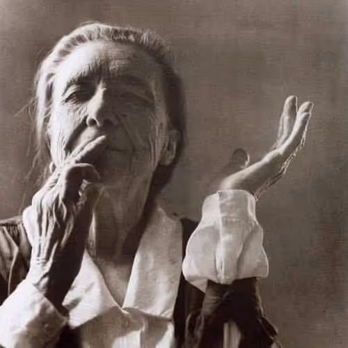 jalleo.lens-Collect-2823