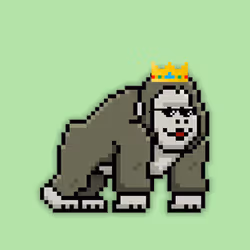 468499258783870098700370