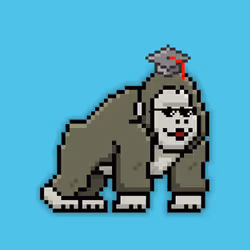 417032623332313382151539