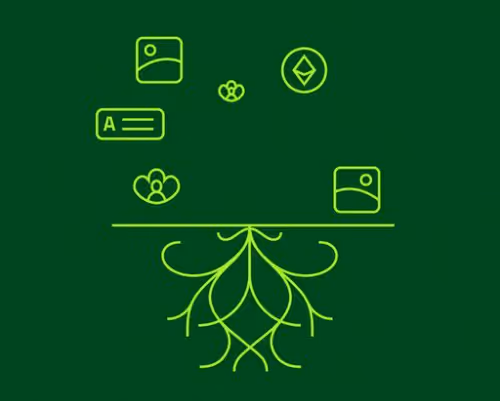 invalid.lens-Collect-355