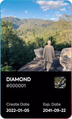 Diamond Segzjzcjru