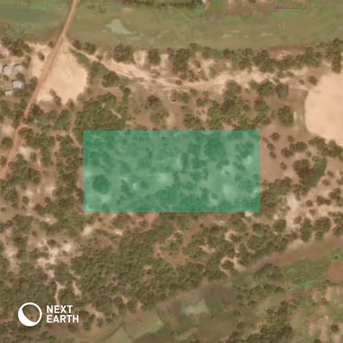 Item #74176935069487533164856570021712249105679789455807581975462609810734335682719 Media